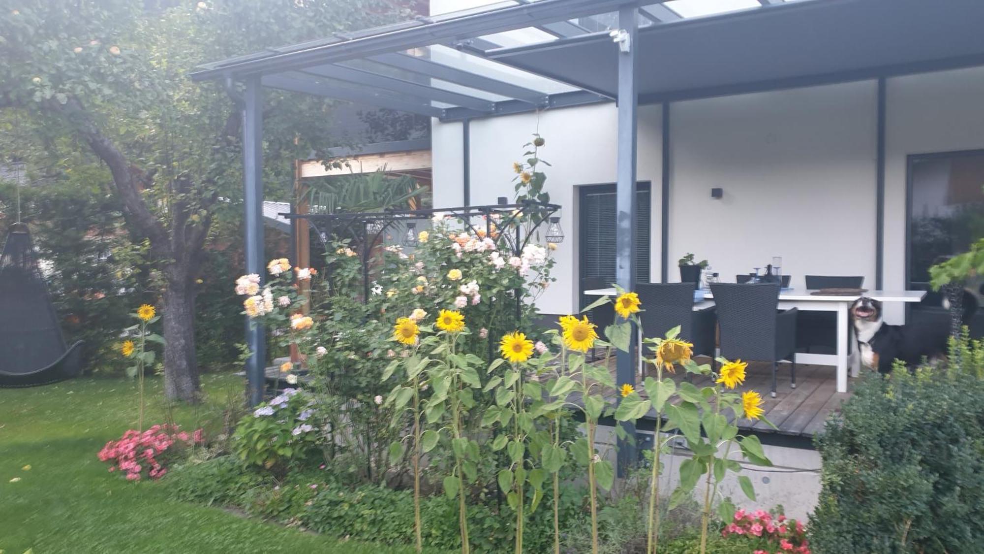 Jagd Trifft Moderne & Boutique Jardin Ferienhaus Annaberg im Lammertal Esterno foto